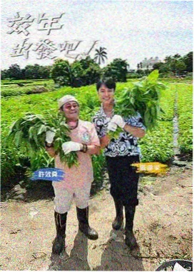 综艺舞台沙发椅改造赛